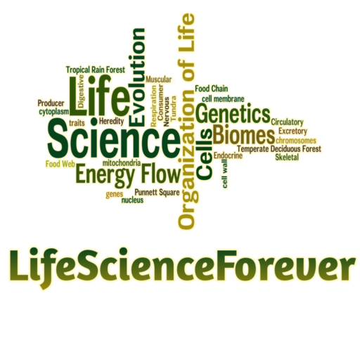 lifescienceforever