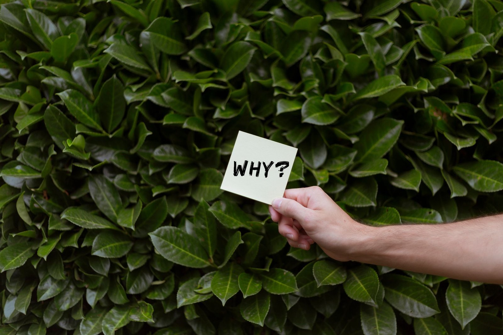Why You Can’t Clear Your Mind (And Why That Actually Means You’re Doing It Right)